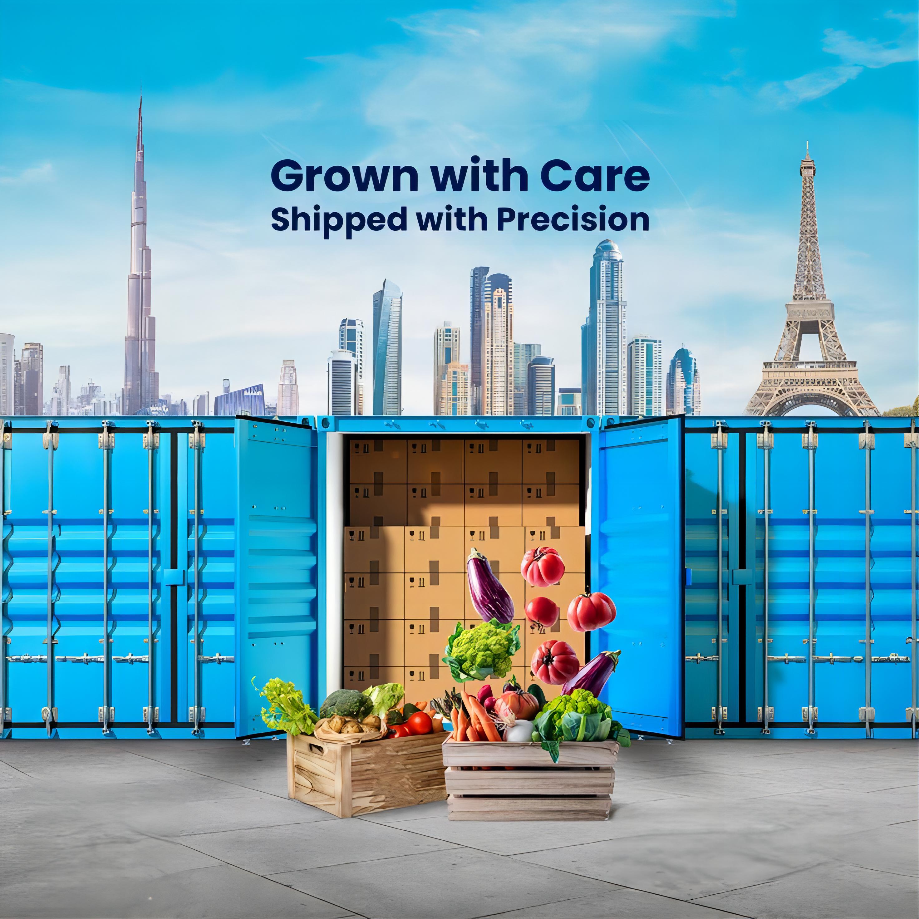 door to door shipping from china to usa