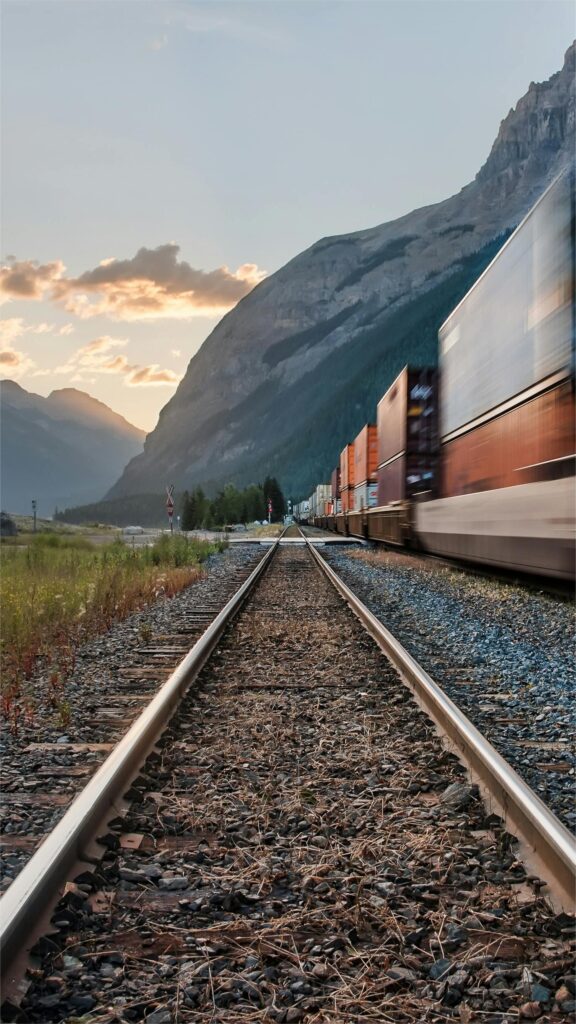 sea freight rates from China