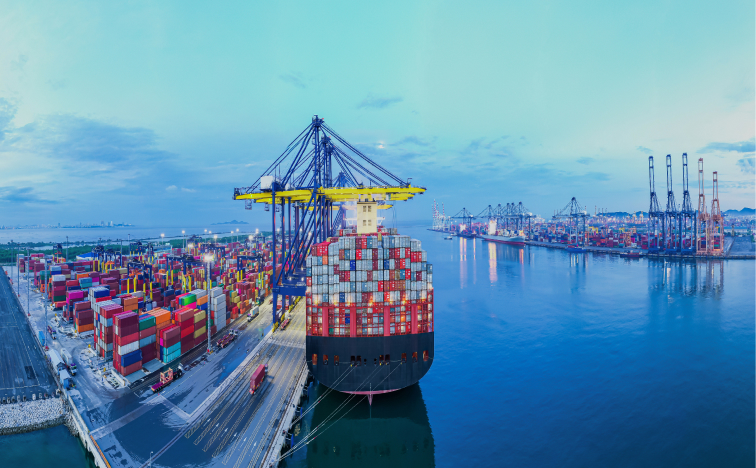 cheap sea freight from China to Belgium