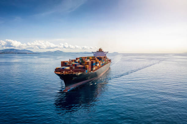 trusted sea freight from China to Netherlands