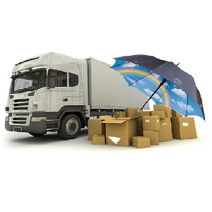 urgent delivery china to usa