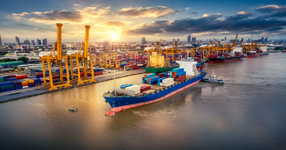 professional customs clearance from China to Spain