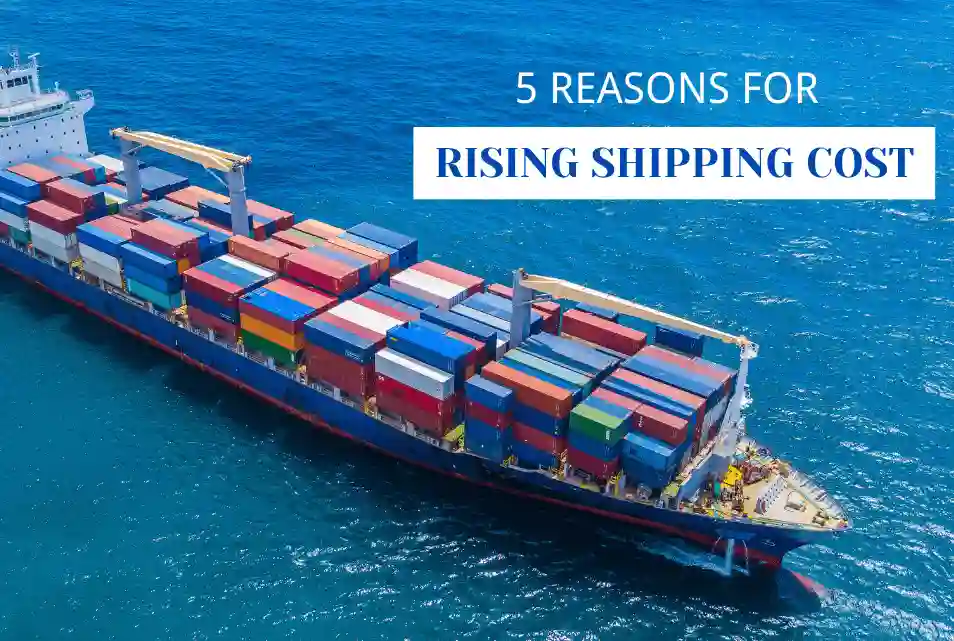 Depending on your shipment volume, you can choose between FCL (Full Container Load) or LCL (Less than Container Load) shipping. Mode Description Best For Pros Cons FCL One shipper, one container Large bulk shipments Secure, private, faster Higher total cost LCL Shared container space Small or mixed orders Cost-efficient Slightly longer handling time Additionally, furniture importers can use door-to-door or port-to-port delivery based on budget and convenience.