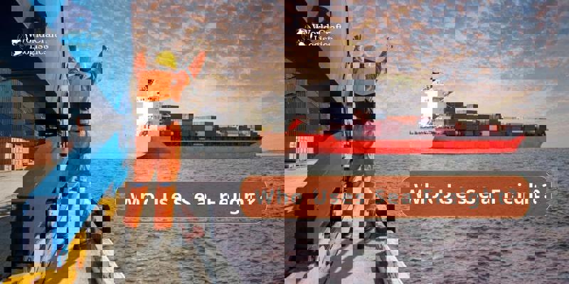 40GP FCL demurrage prevention for auto parts from China to Spain