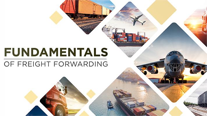 Cargo planes on tarmac at an international airport