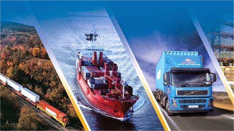 Logistics professional reviewing shipping documents for medical cargo